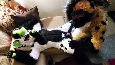 Fetish amateur couple in fursuit costumes tease each other before fucking ionately
